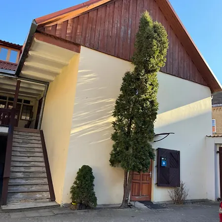 Danarent Tilto * 维尔纽斯