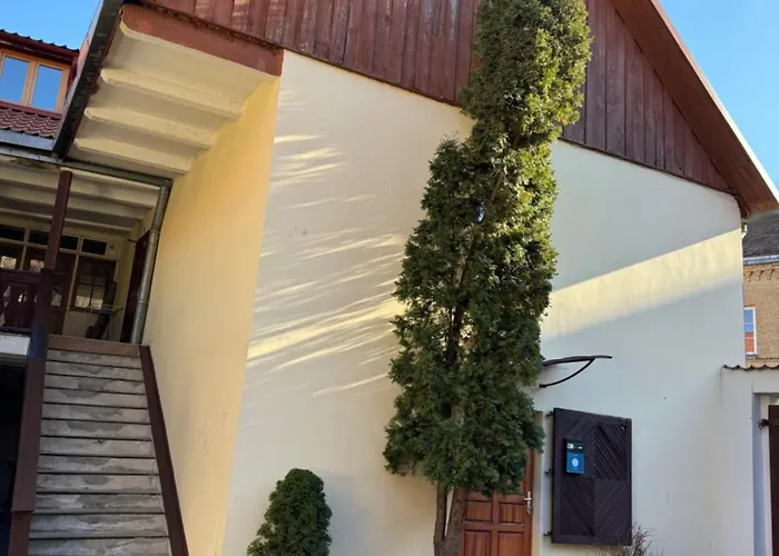 Danarent Tilto * Wilna