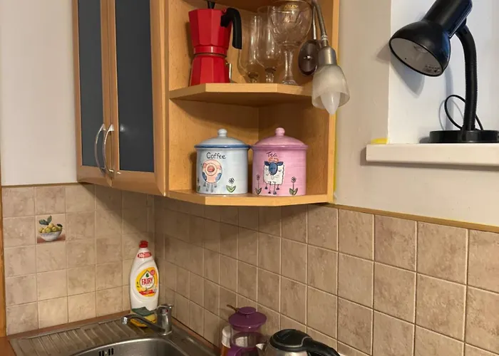 Danarent Tilto Apartment Wilna