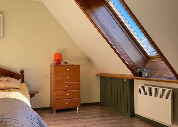 Danarent Tilto Wilna